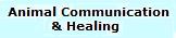 Animal Communication & Healing